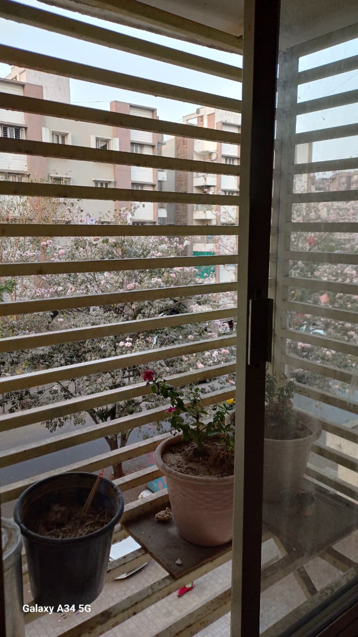 1 BHK 500 Sq.Ft. Residential Flat / Appartment for Sell in Gota Ahmedabad - Media 7