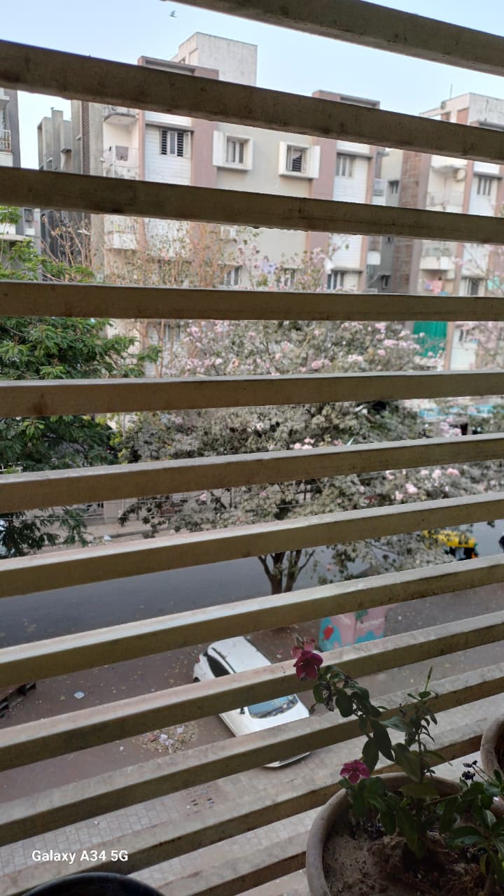 1 BHK 500 Sq.Ft. Residential Flat / Appartment for Sell in Gota Ahmedabad - Media 2